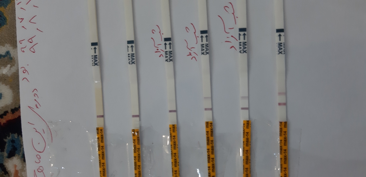 تفسیر کیت تخمک گذاری