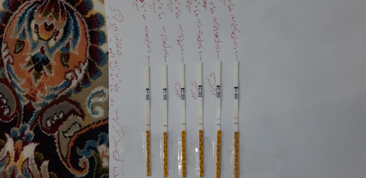 تفسیر کیت تخمک گذاری