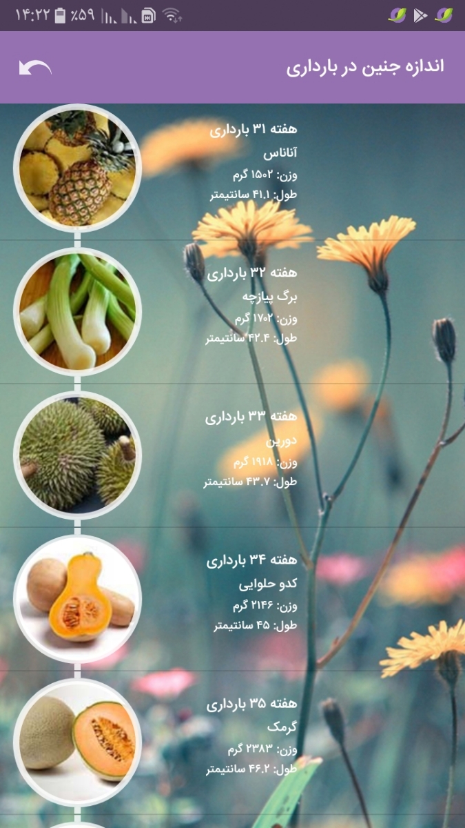 لطفاً سنو منو برسی کنید