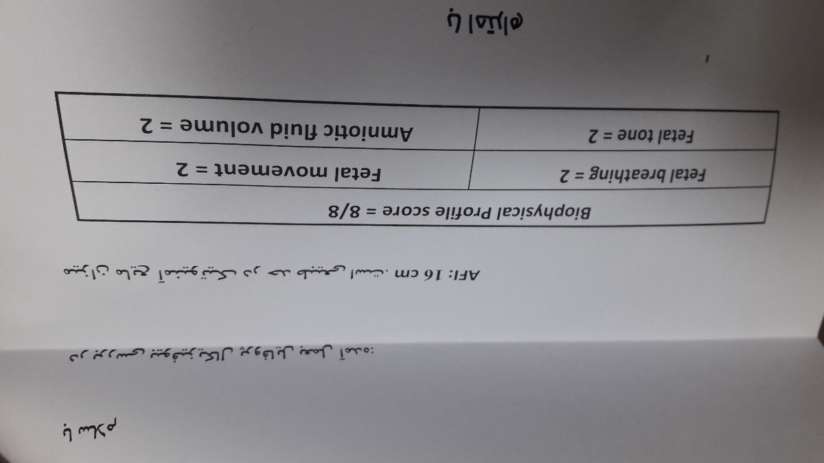 سونوگرافی بیوفیزیکال جینن bpp