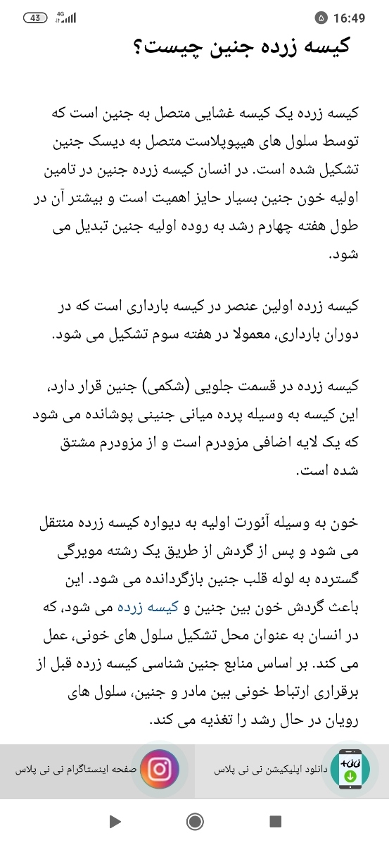 دیده نشدن جنین در هفته پنجم دیده نشدن جنین در هفته پنجم