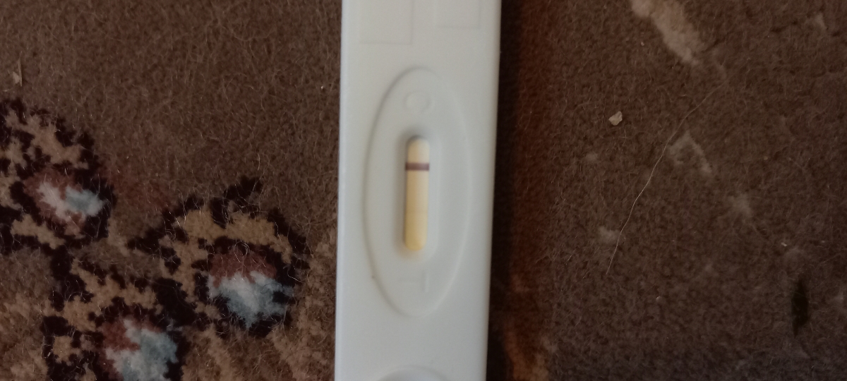 جواب بی بی چک