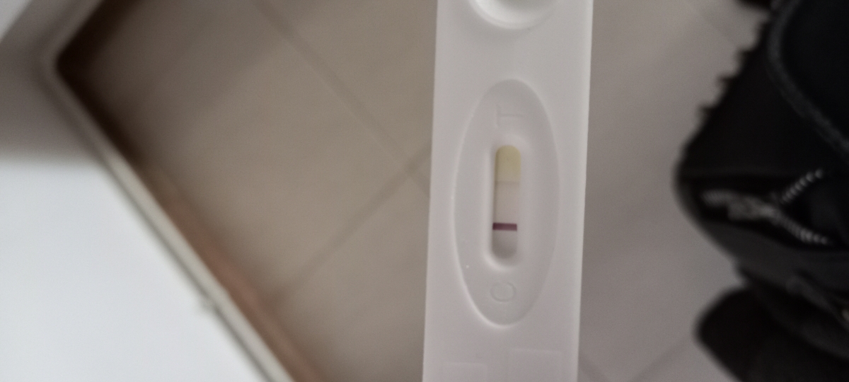 جواب بی بی چک