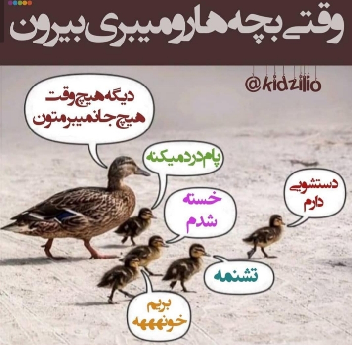 بچها بیاید اینجا 🥴 بچها بیاید اینجا 🥴