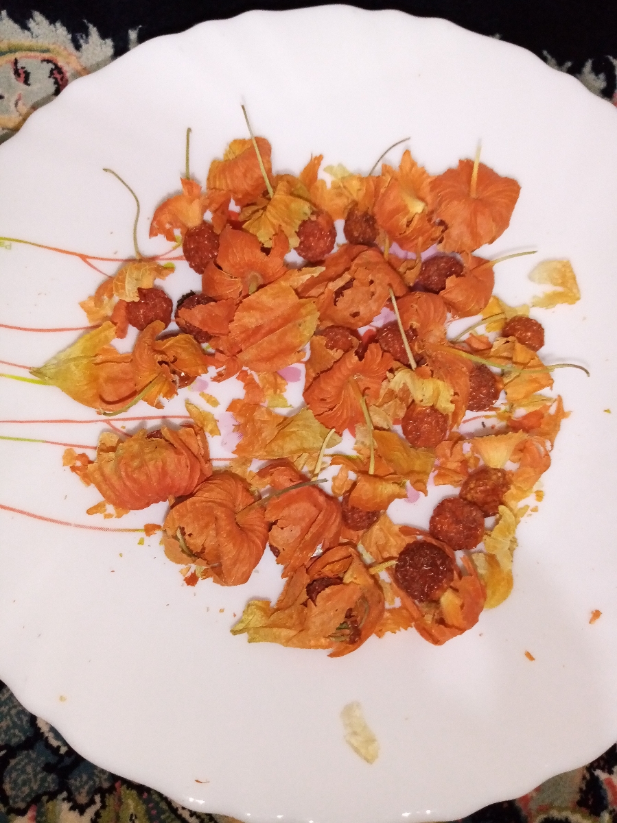 بگین این چه گیاهیه که براسقط داده بهم