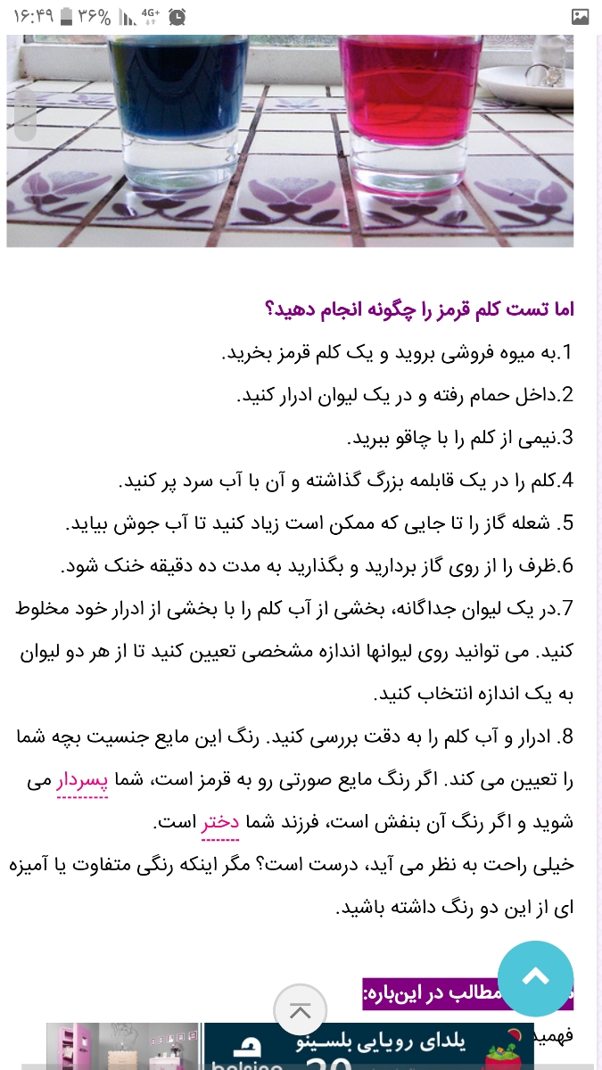 تعیین جنسیت جنین در سونو ان تی تعیین جنسیت جنین در سونو ان تی
