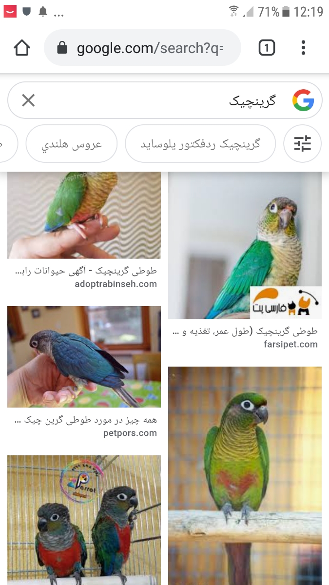 بچه ها خنده داره ولی میخوام یه حیوون خونگی بخرم.راهنمایی میخوام بچه ها خنده داره ولی میخوام یه حیوون خونگی بخرم.راهنمایی میخوام