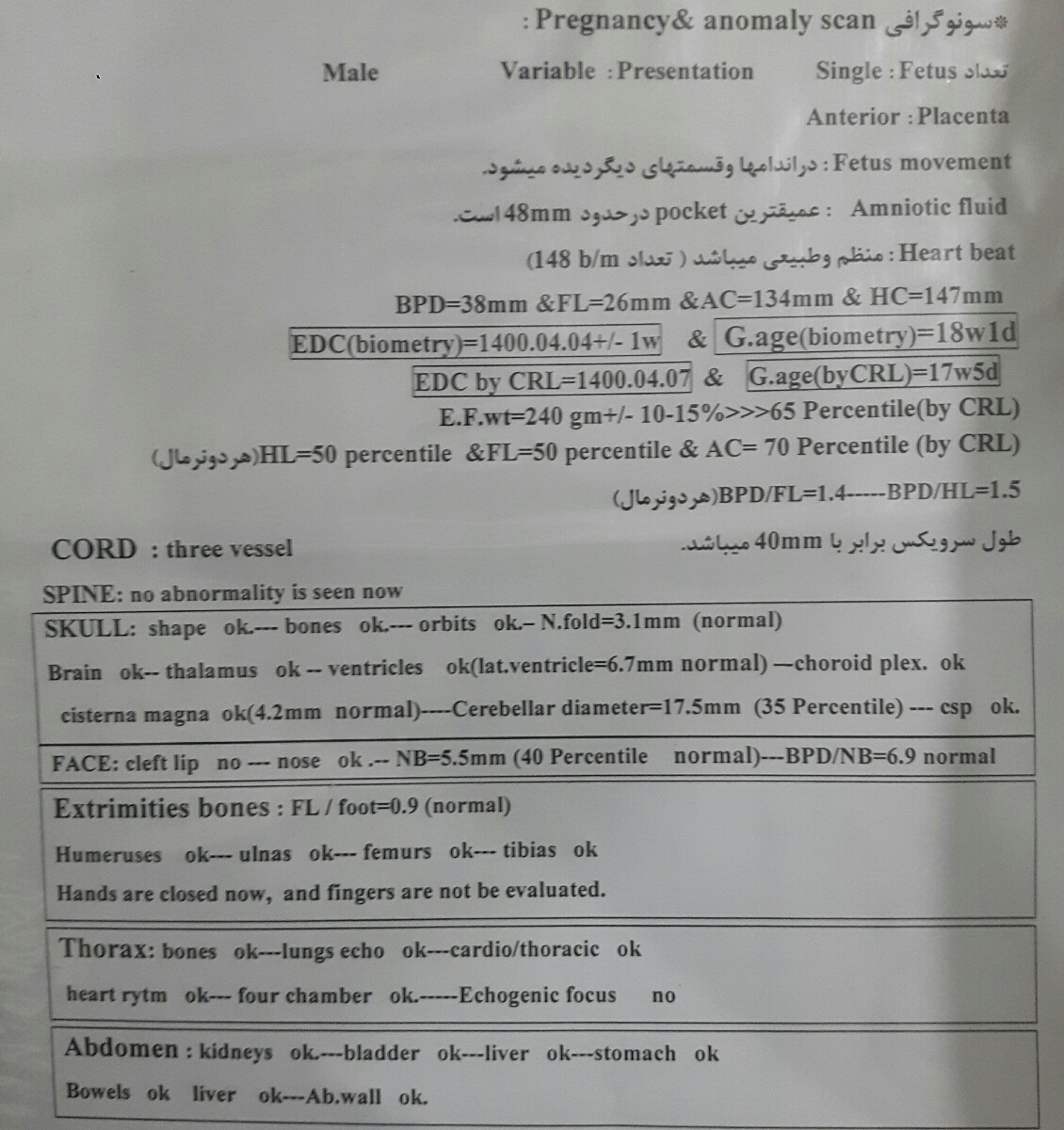 سونوگرافی آنومالی من چطوره؟