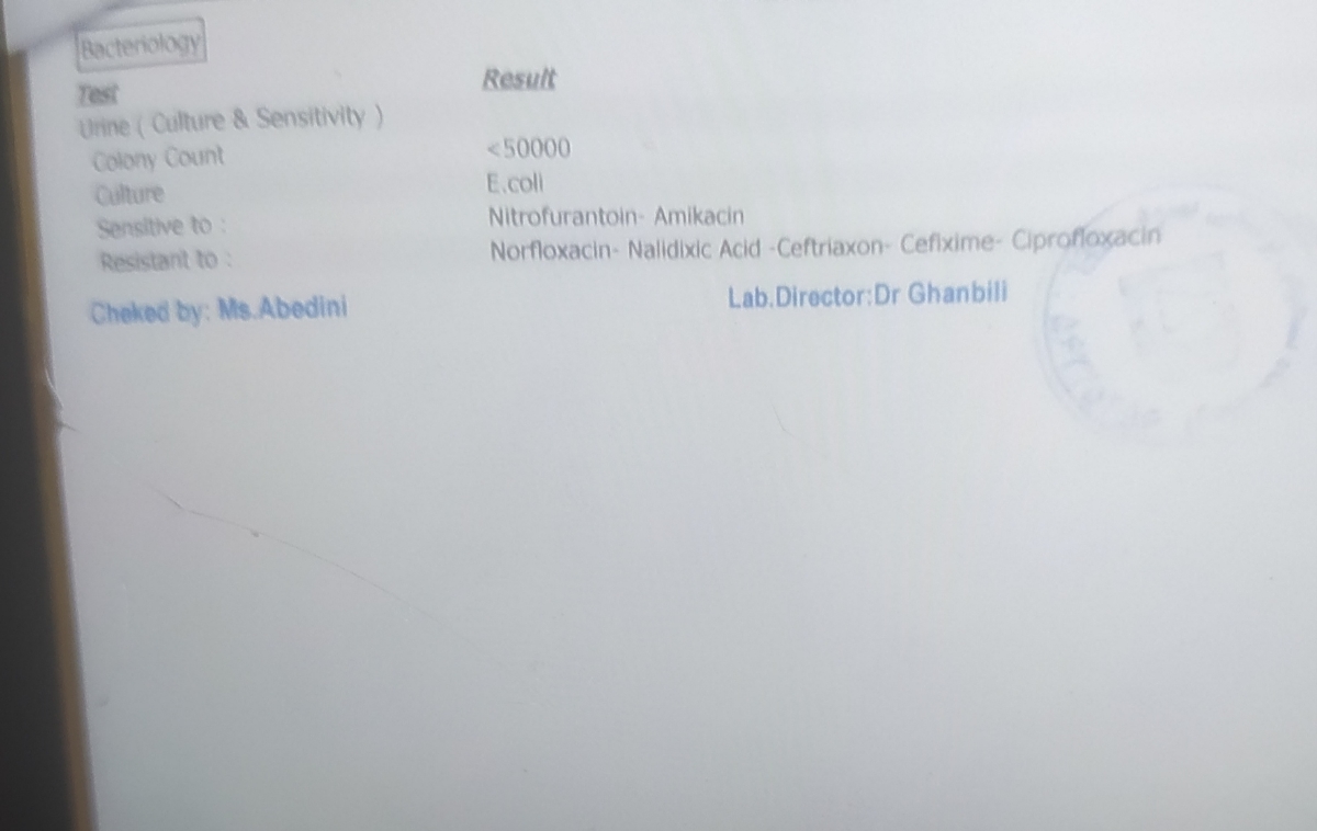 تفسیر تست ادرار بارداری