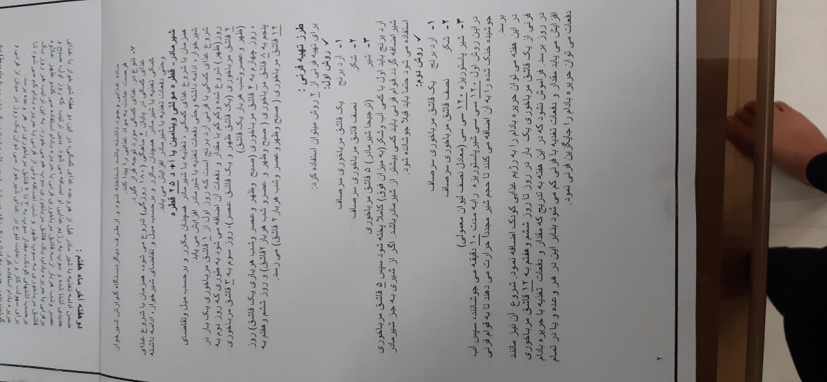 غذا برای نوزاد ۸ ماه غذا برای نوزاد ۸ ماه