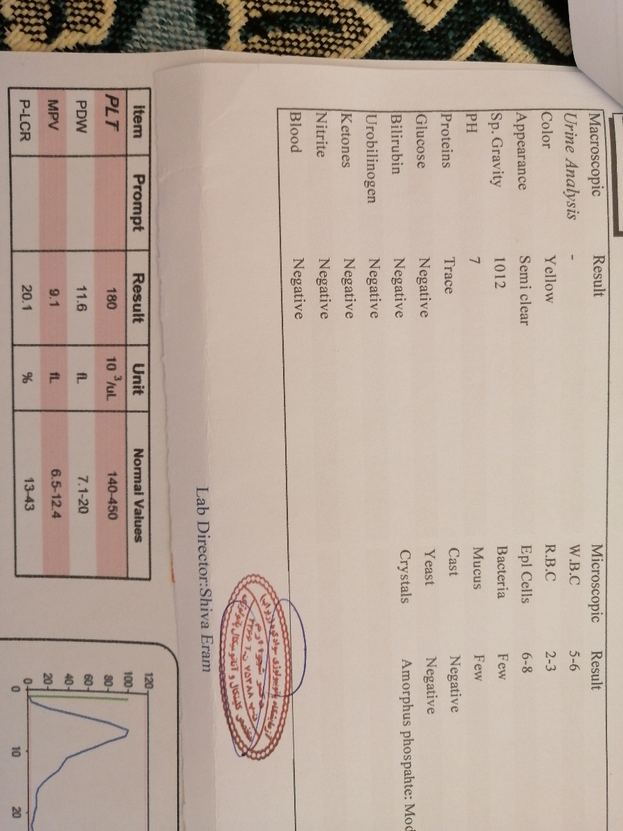 بیزحمت تفسیر کنید