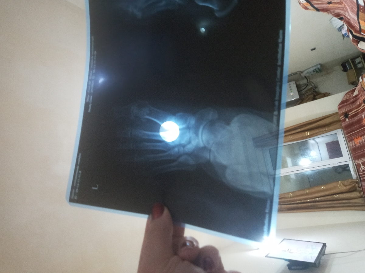 سلام اگه کسی میدونه جواب بده
