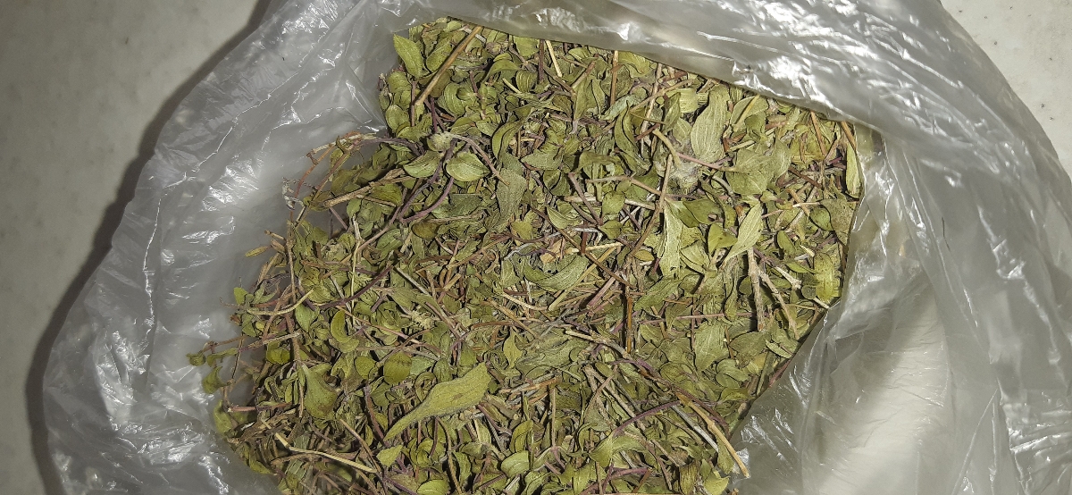 سلام دارو برای دلپیچه سلام دارو برای دلپیچه