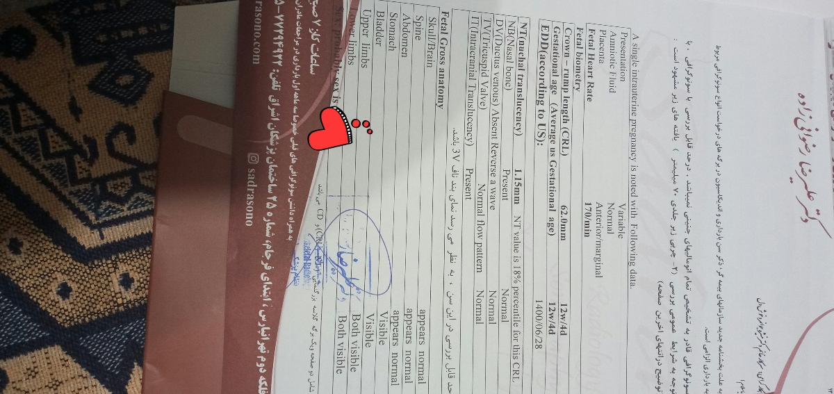 سلام عشقا بیاین براتفسیرسونو ان تی وتععین جنسیت 🤩🤩🤩😘😘😘 سلام عشقا بیاین براتفسیرسونو ان تی وتععین جنسیت 🤩🤩🤩😘😘😘