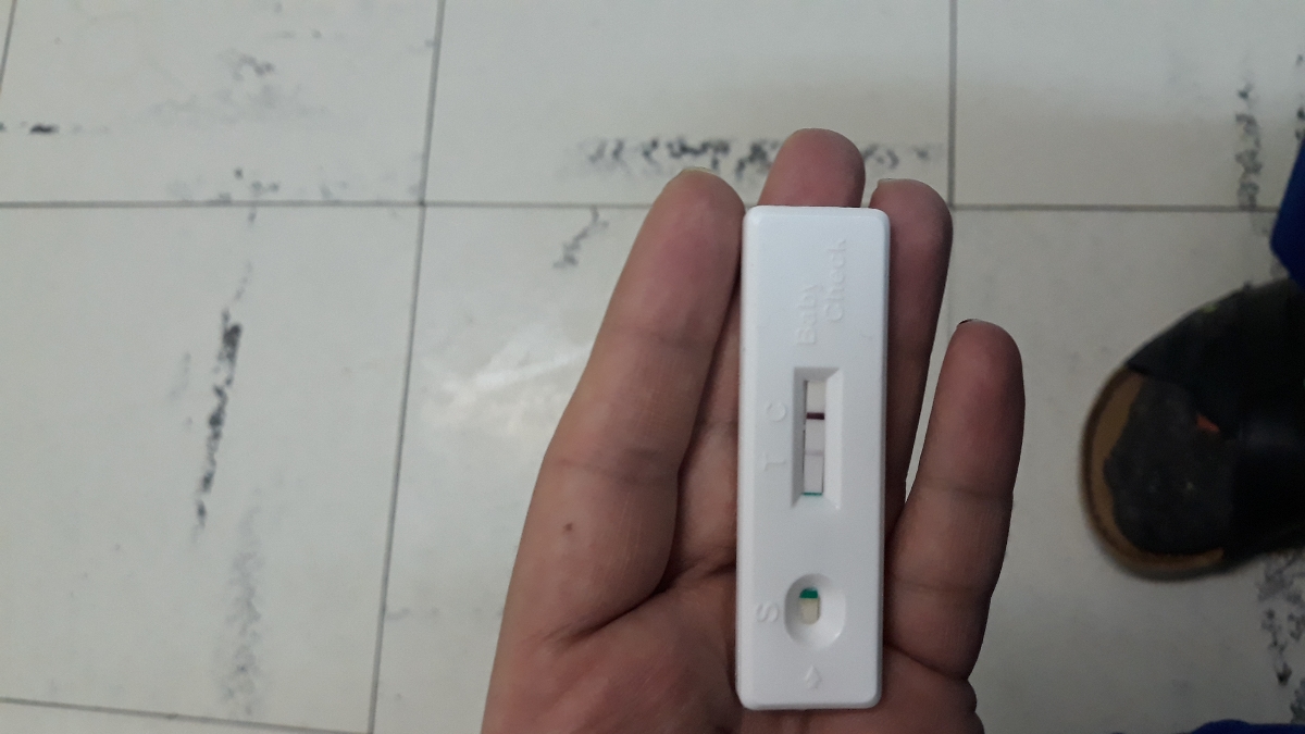 سوال درباره بی بی چک سوال درباره بی بی چک