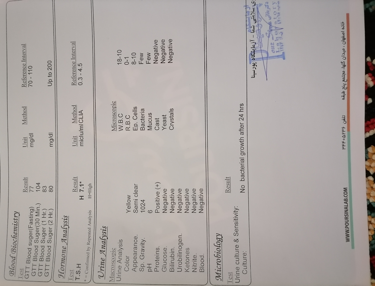 دفع پروتئین درهفته 28