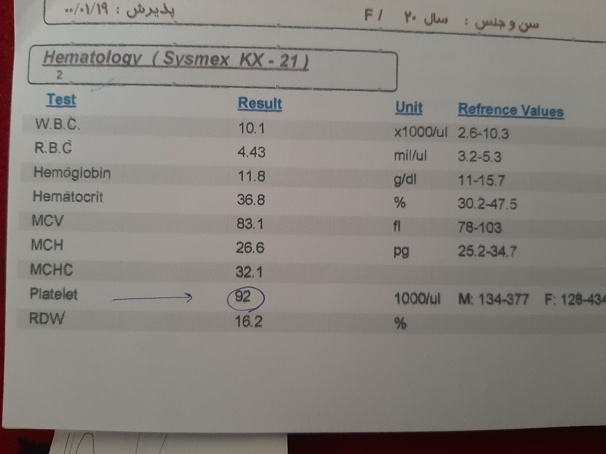 تفسیر آزمایش روتین بارداری