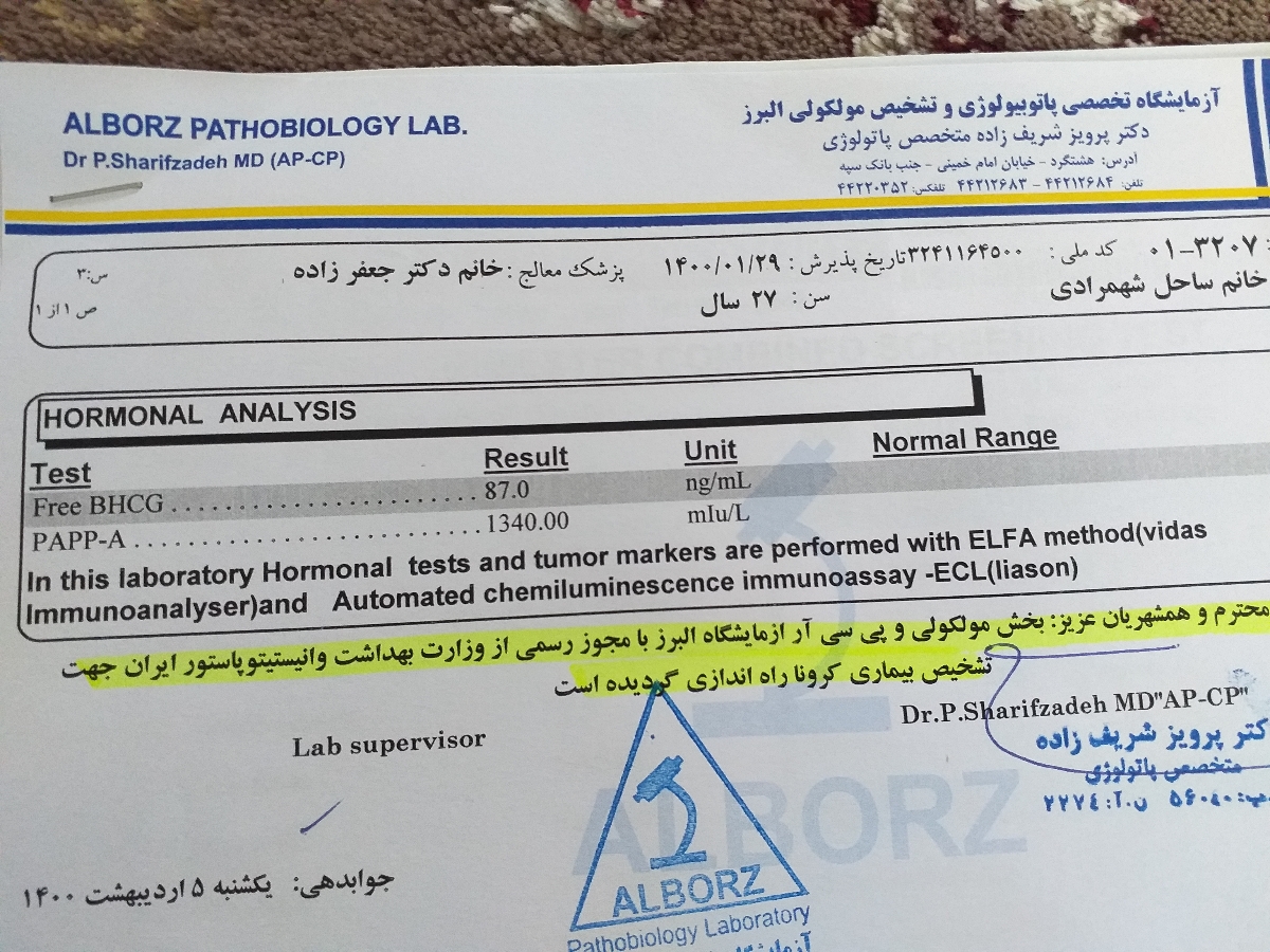 تفسیر سونوگرافی ان تی و غربالگری ۳ ماهه اول بارداری؟