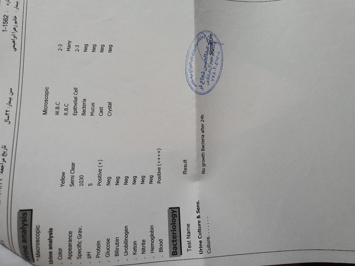 لطفا واسم تفسیر میکنید ازمایشو