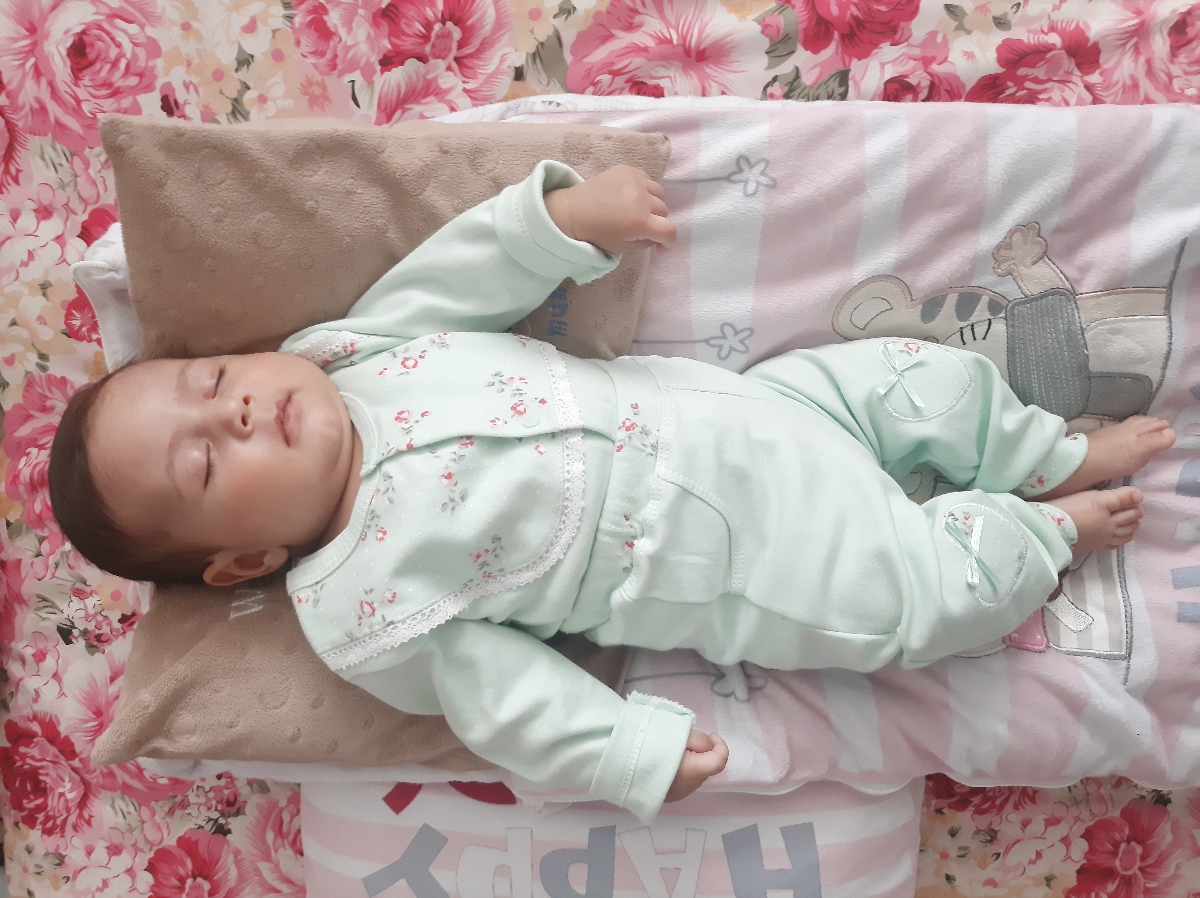 ول کردن سینه و دادن شیر خشک ول کردن سینه و دادن شیر خشک