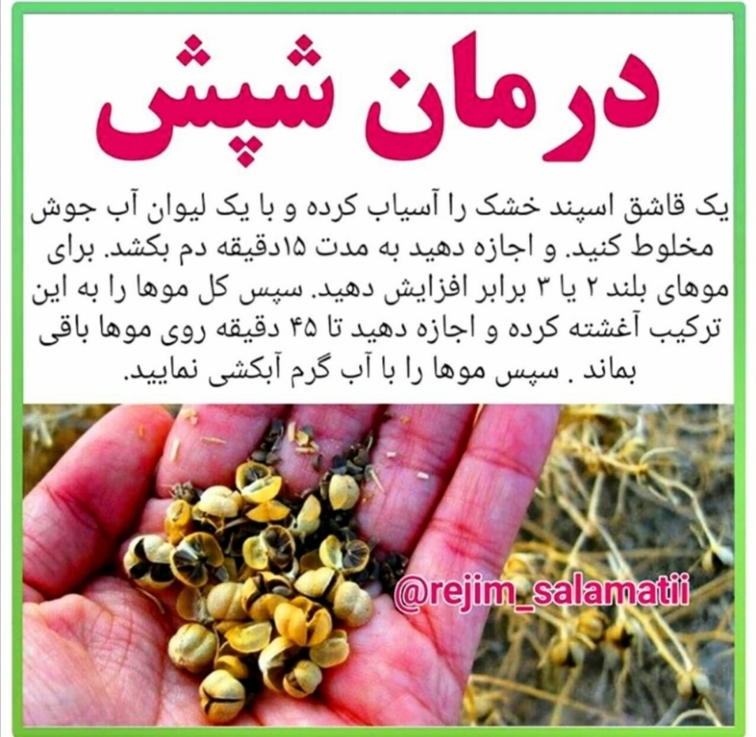 دخترم سرش شپش گذاشته بیاین بگین چیکار کنم دخترم سرش شپش گذاشته بیاین بگین چیکار کنم