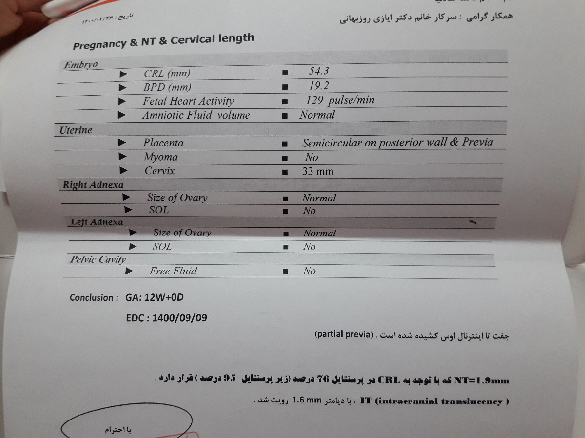 متخصص های Nt بیایید ببینم🥰😎