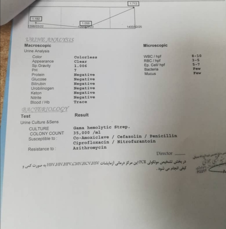 لطفا آزمایشم تفسیر کنید