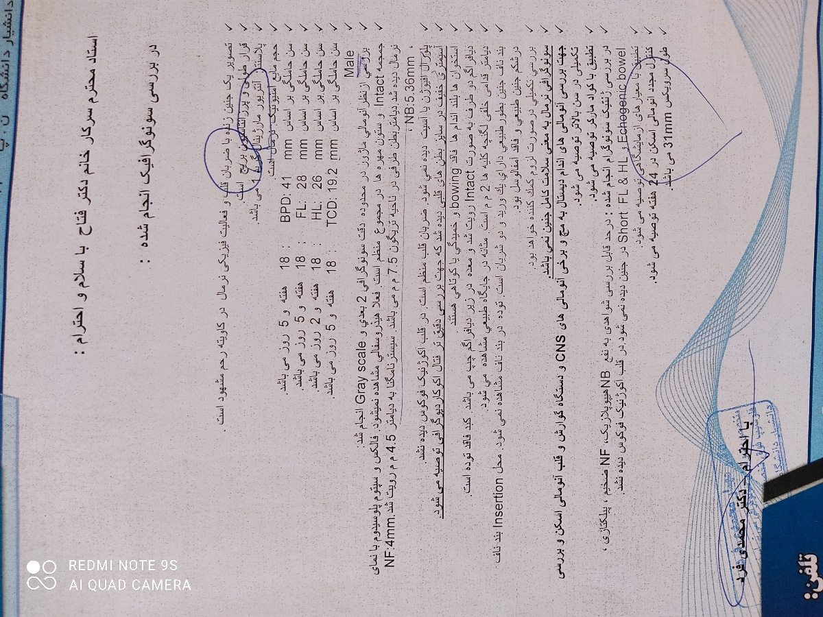 سونوی آنومالی و سونوی قلب جنین