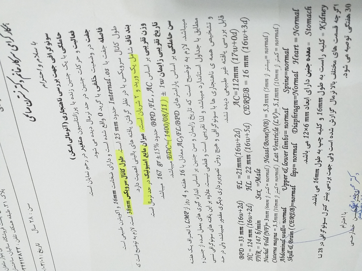 بالا بودن آلفا فیتو پرتئین در آمینوسنتز