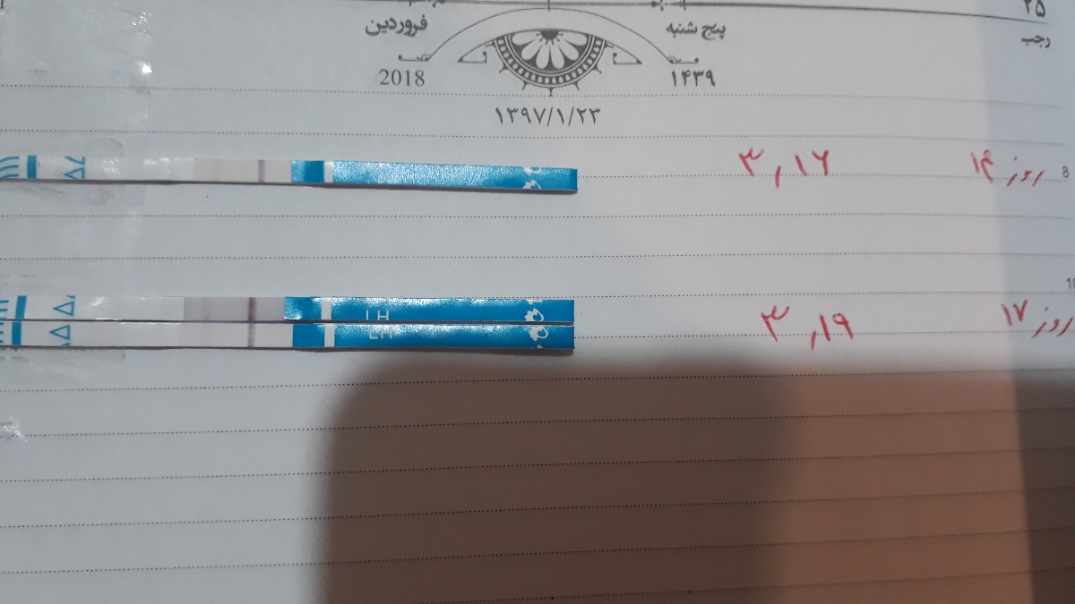 خواهشا هرکسی میدونه جواب بده ؟ممکنه تو یک ماه تخمکگذاری نباشه؟؟ خواهشا هرکسی میدونه جواب بده ؟ممکنه تو یک ماه تخمکگذاری نباشه؟؟