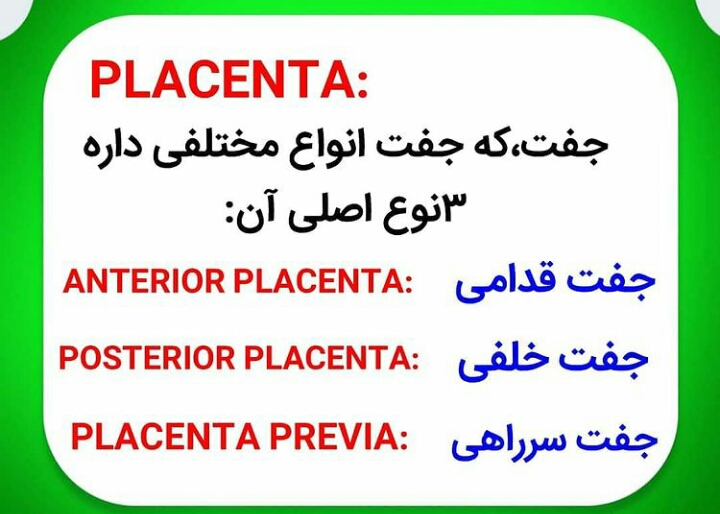 تفسیر سونوی ان تی