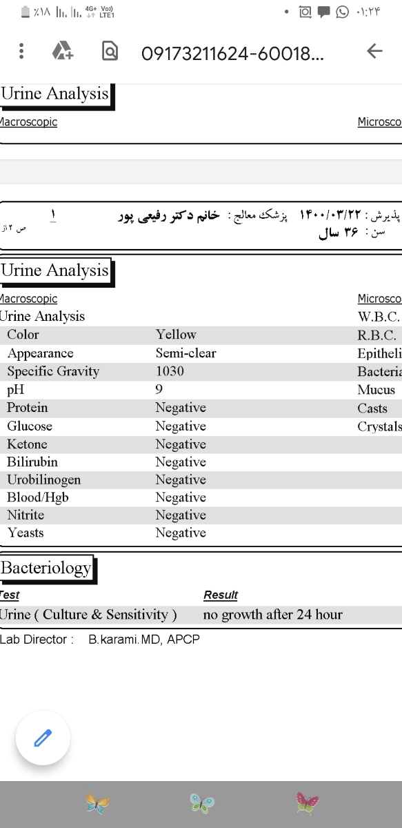 آزمایش ادرار هفته پانزده