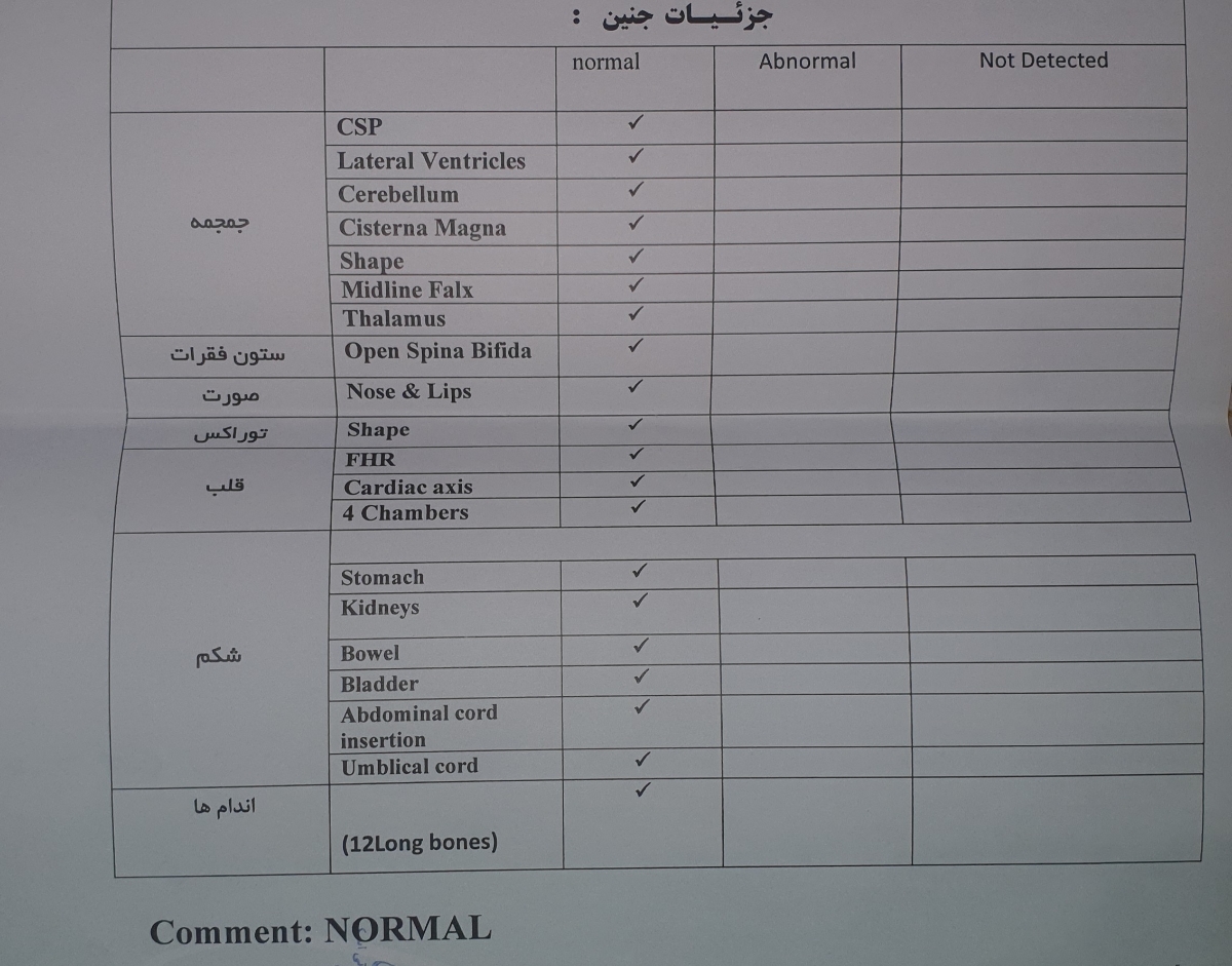 تفسیر سونو آنومالی در ۱۸ هفته