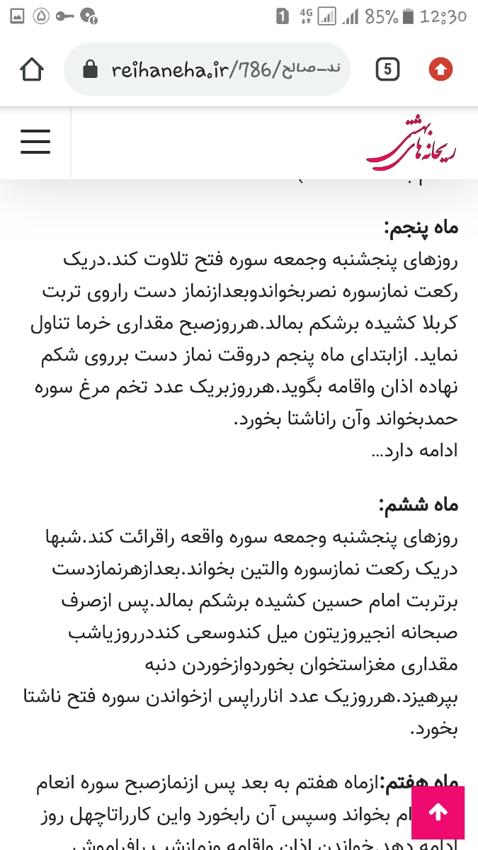 کتاب ریحانه بهشتی کی داره؟ کتاب ریحانه بهشتی کی داره؟