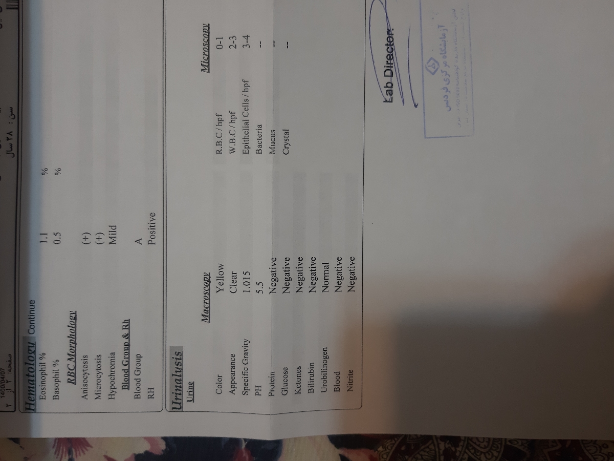 تفسیر ازمایش اول بارداری