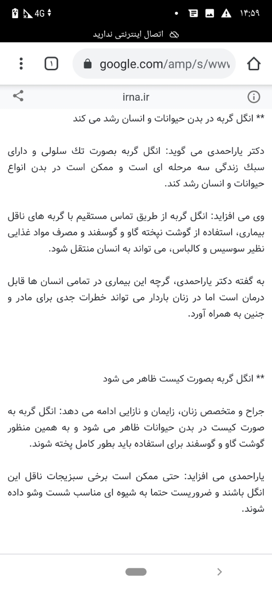 نگهداری گربه در منزل نگهداری گربه در منزل