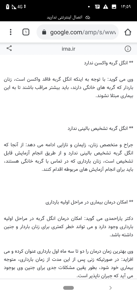 نگهداری گربه در منزل نگهداری گربه در منزل