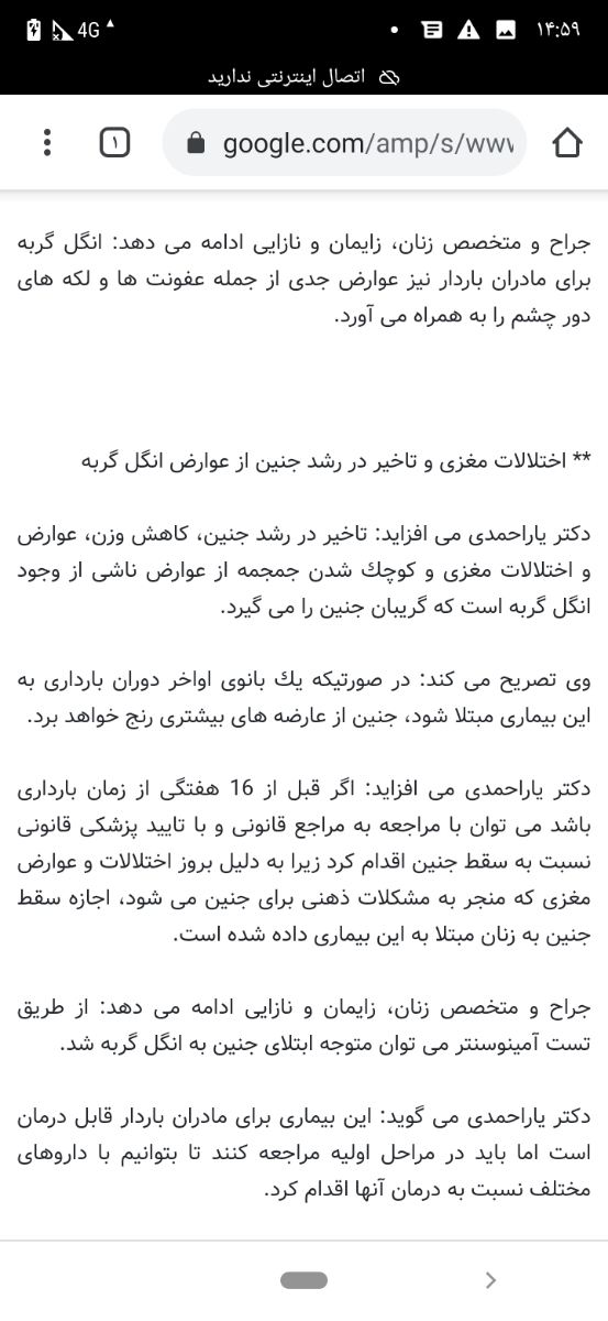 نگهداری گربه در منزل نگهداری گربه در منزل