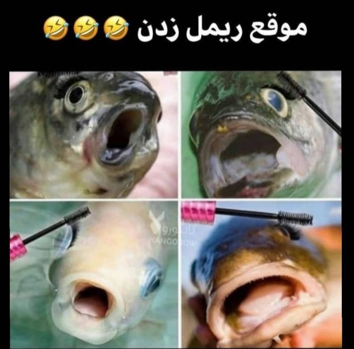 بیایین یکم شاد شیم😐😐😐 بیایین یکم شاد شیم😐😐😐