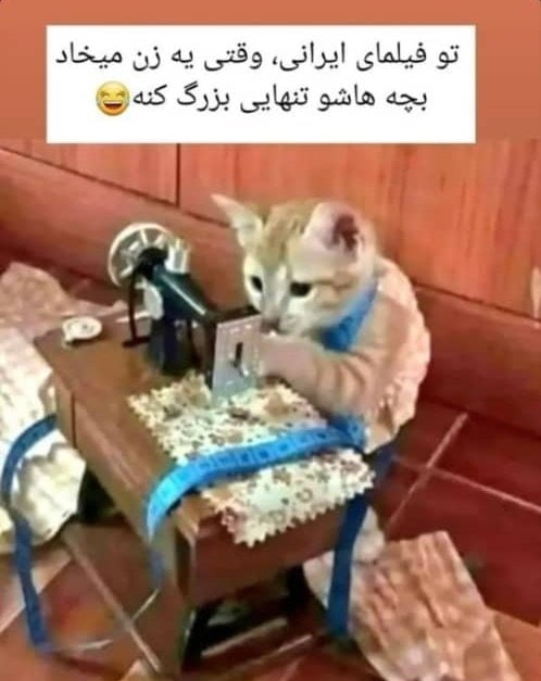 بیایین یکم شاد شیم😐😐😐 بیایین یکم شاد شیم😐😐😐