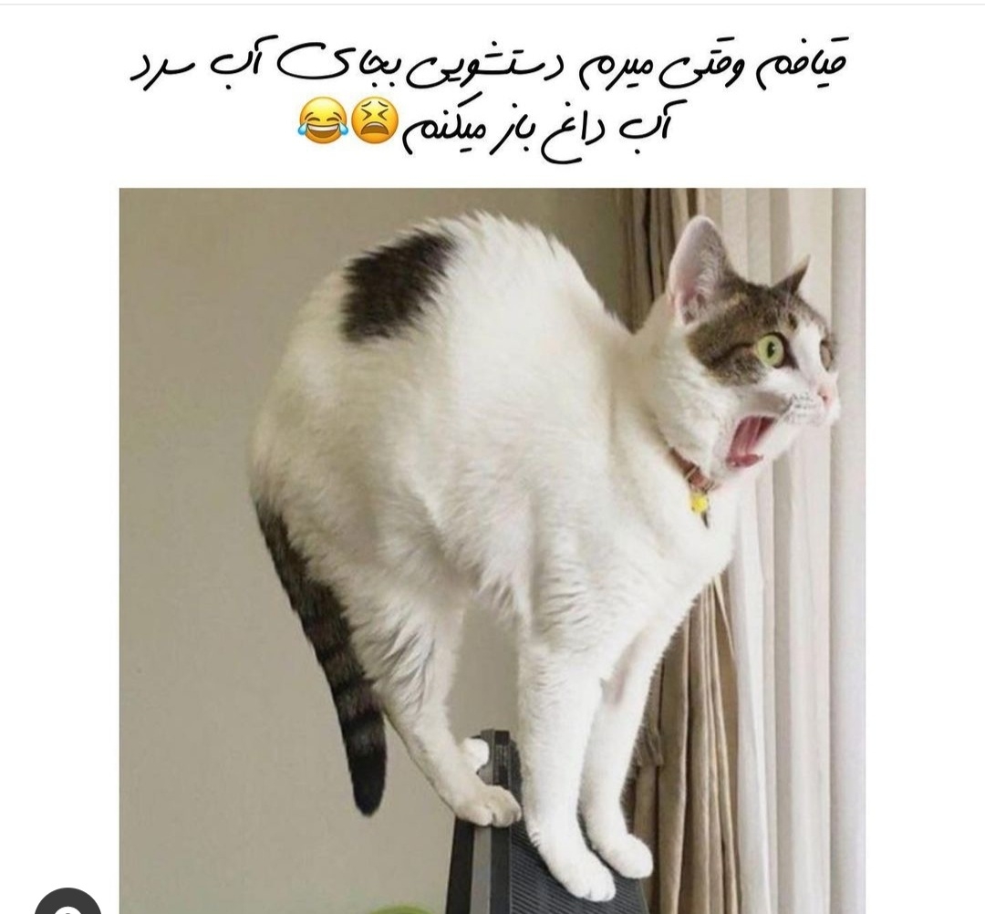 بیایین یکم شاد شیم😐😐😐 بیایین یکم شاد شیم😐😐😐
