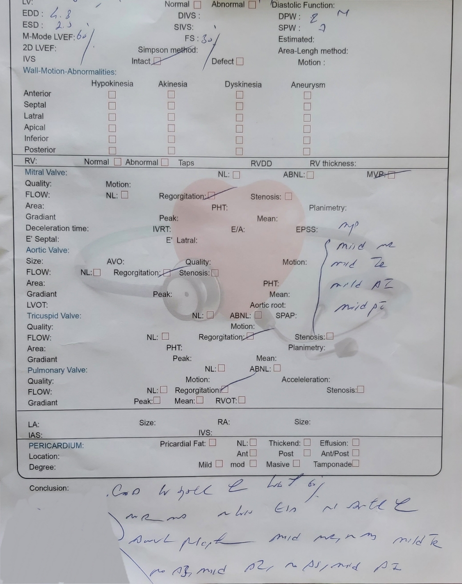 تفسیر اکوی قلب 🫀🫀🫀