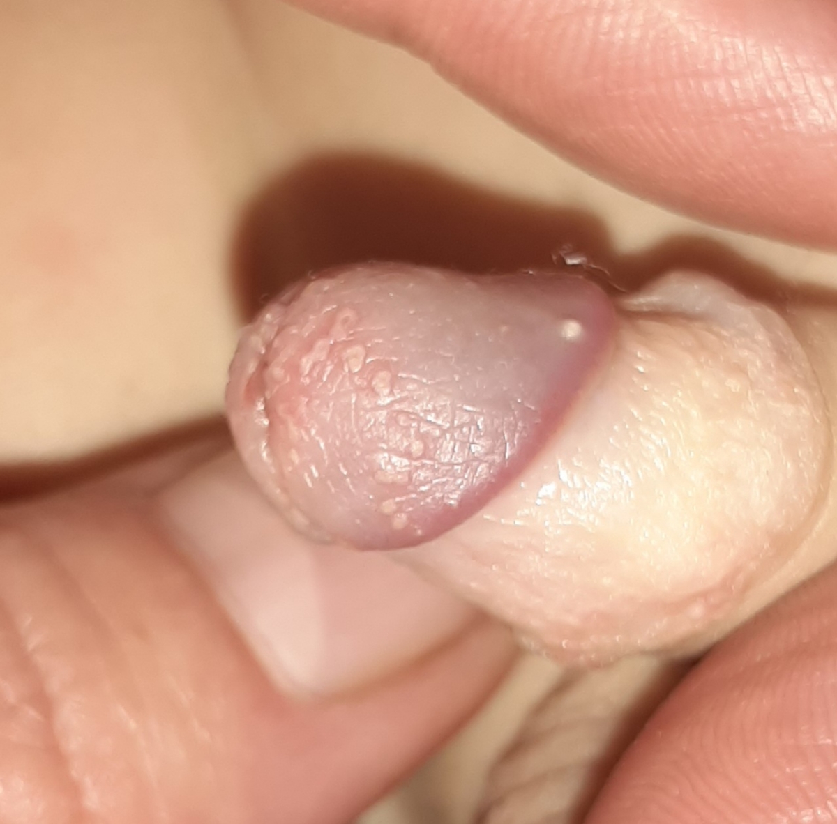 سلام بابت عکس شرمنده سلام بابت عکس شرمنده