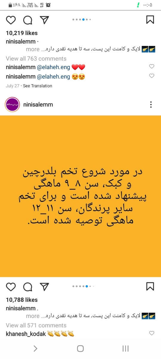 سلام سلام خانوما تخم بلدرچین خریدم براپسرم چجورباید بدم بخوره