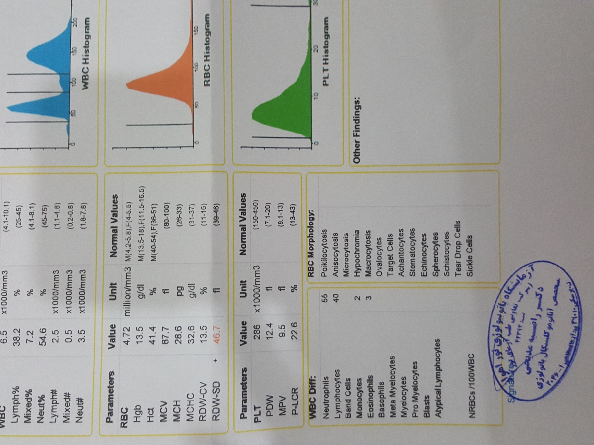 تاخیری پی در پی پریودی