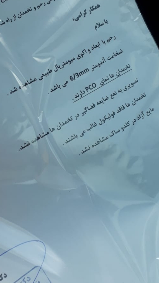 تفسیر سونوگرافی روز ۱۳ تفسیر سونوگرافی روز ۱۳