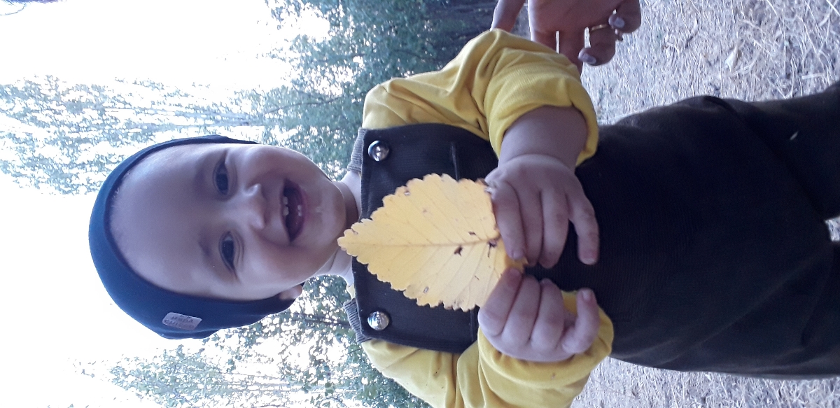 پسرم ۱۶ ماهشه فقط ۴ تا دندونو جلوییو داره دوتا بالا دوتا پایین چرا اینقدر دیر