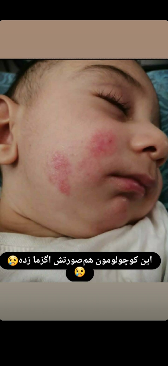 نیاز به یاری سبزتان هستم نیاز به یاری سبزتان هستم