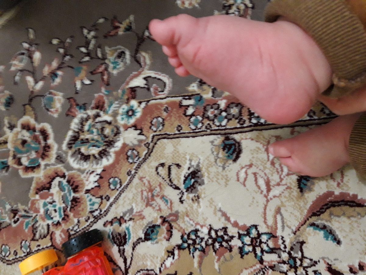بیسکوییت مادر به بچه ۶ماهه بیسکوییت مادر به بچه ۶ماهه