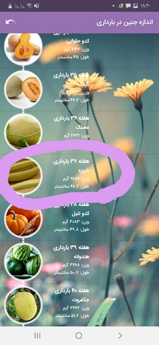 تو ۳۶ هفته ام برم سونو وزن بنظرتون تو ۳۶ هفته ام برم سونو وزن بنظرتون